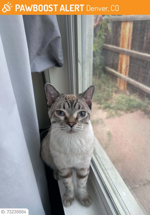 Found/Stray Male Cat last seen West 1st Ave and S Federal Blvd, Denver, CO 80219