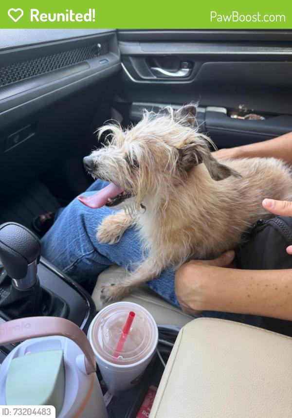 Reunited Unknown Dog last seen Crestview Ln Lowes Farm subdivision, Mansfield, TX 76063