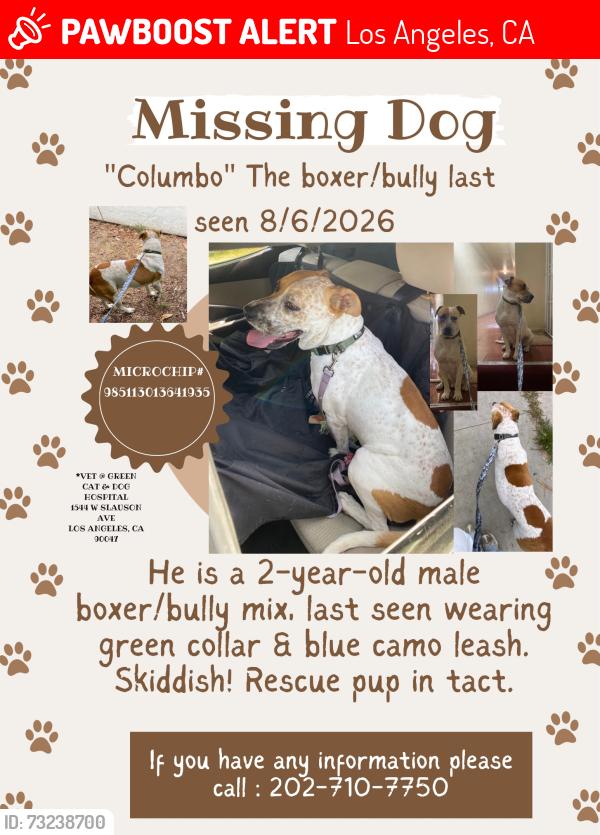 Lost Male Dog last seen Running down 48th towards Figueroa, Los Angeles, CA 90004