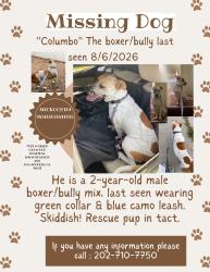 Lost Male Dog last seen Running down 48th towards Figueroa, Los Angeles, CA 90004
