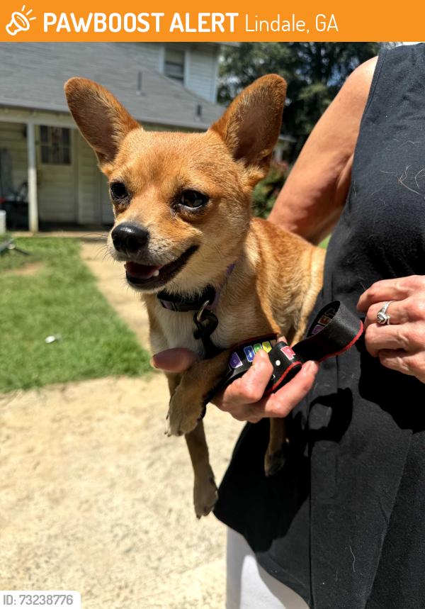 Found/Stray Male Dog last seen Avenue c se, lindale ga 30147, Lindale, GA 30147