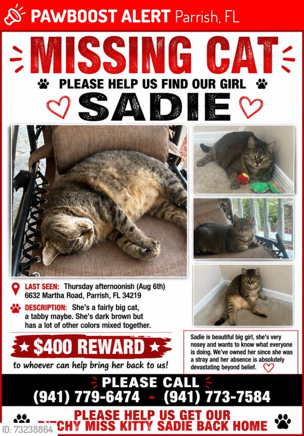 Lost Female Cat last seen Martha road Parrish Florida, Parrish, FL 34219