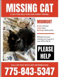 Lost Female Cat last seen Near w, Orem, UT 84057