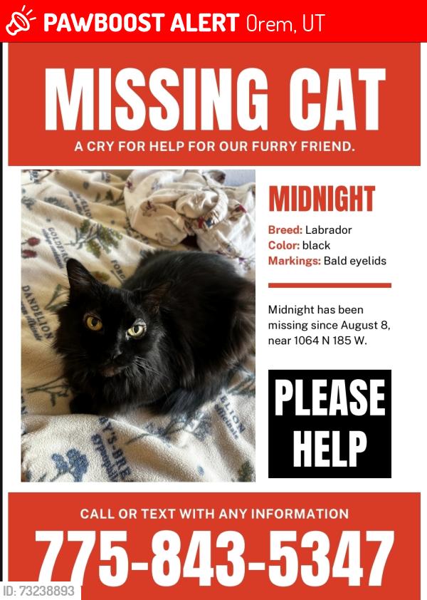 Lost Female Cat last seen Near w, Orem, UT 84057