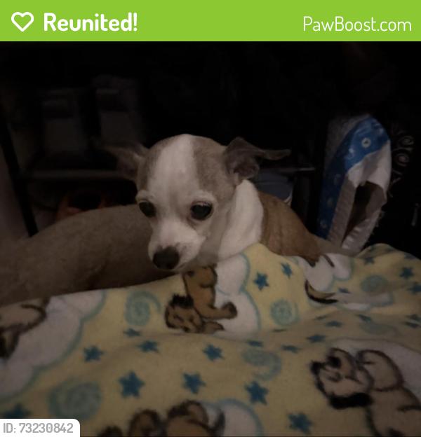 Reunited Unknown Dog last seen Corvallis, San Leandro, CA 94579