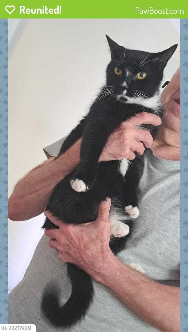 Reunited Male Cat last seen Train station Northfield, , England B31