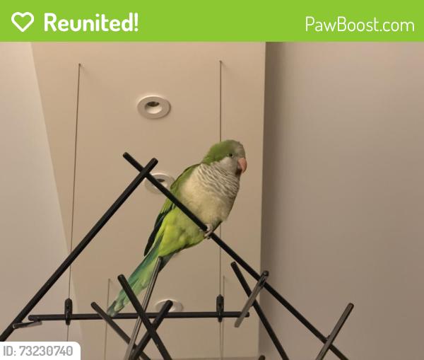 Reunited Unknown Bird last seen NW 74th St and NW 97th Ave, Doral, FL 33178