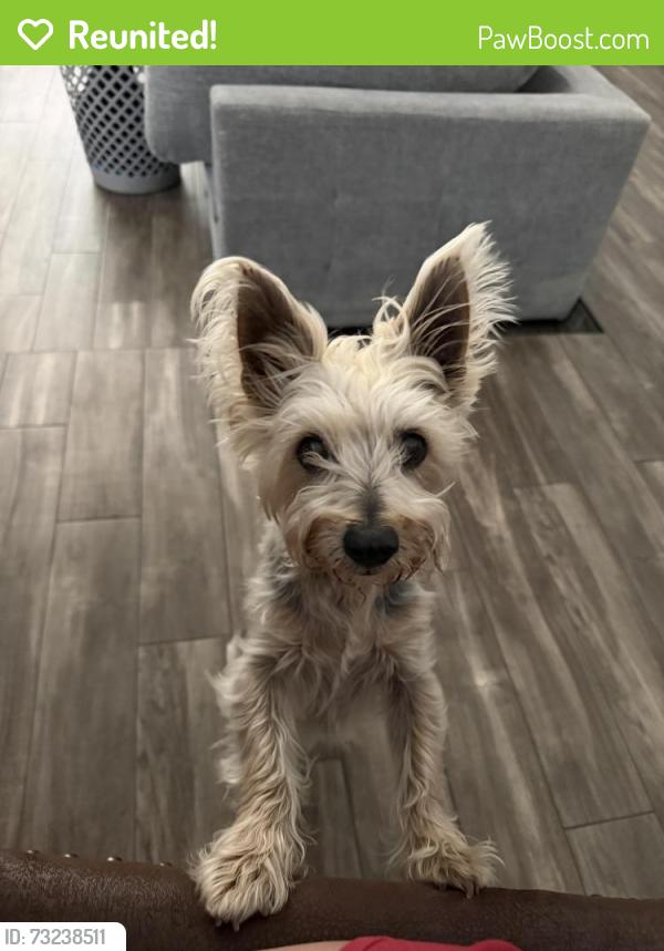 Reunited Male Dog last seen Last seen in Highgrove in a neighborhood, Grand Terrace, CA 92313