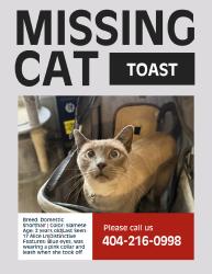 Reunited Female Cat last seen Near Alice Ln, Ringgold, GA 30736, USA, Ringgold, GA 30736