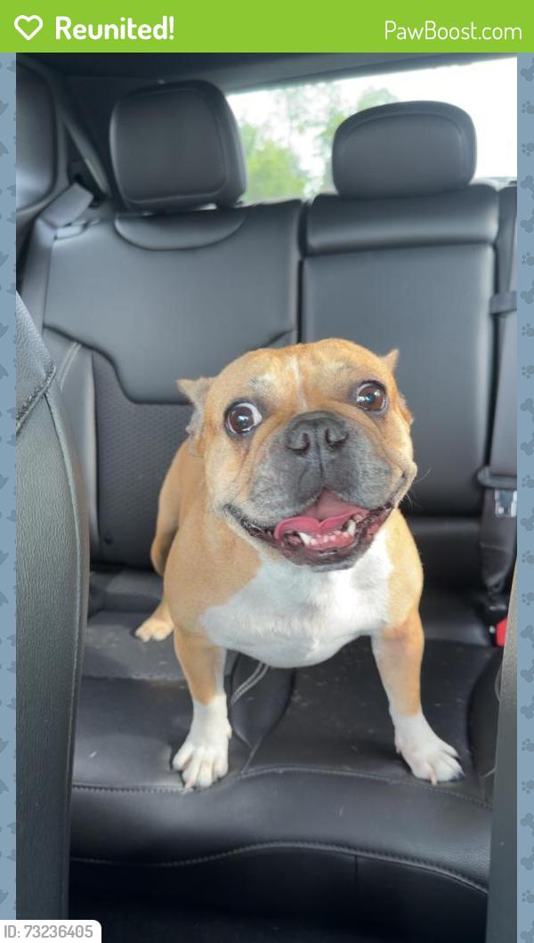 Reunited Female Dog last seen Running just past Lake Jessup ests, Seminole County, FL 32773