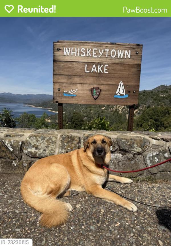 Reunited Female Dog last seen Cottage Park, Sacramento, CA 95825