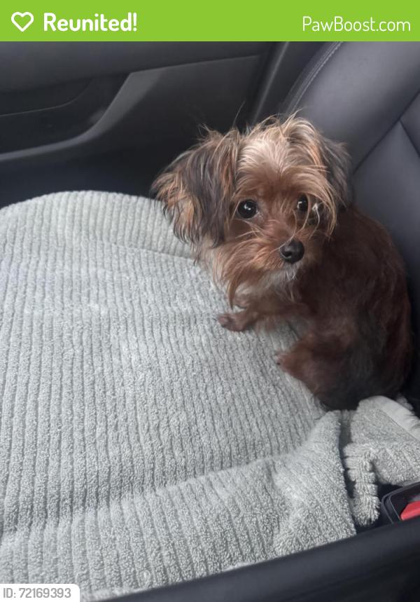 Reunited Male Dog last seen Winship Dr & Glen Crossings Rd, Edgecliff Village, TX 76134, USA, Edgecliff Village, TX 76134