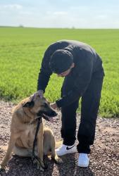 Lost Male Dog last seen Castle Bingo Newport, , Wales NP20 2BP