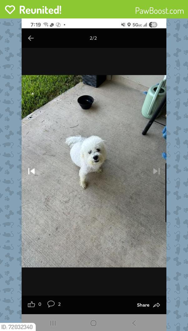Reunited Male Dog last seen Tidwell Lakes, Houston, TX 77044