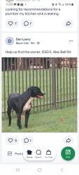 Found/Stray Male Dog last seen Near East Alex Bell Road, Centerville, OH 45459