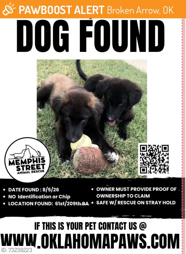 Found/Stray Unknown Dog last seen 61st / 209th, Broken Arrow, OK 74014