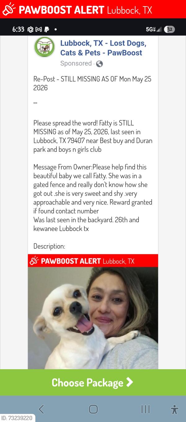 Lost Female Dog last seen Duran park, Lubbock, TX 79407