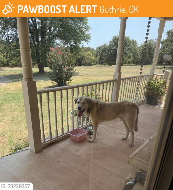 Found/Stray Male Dog last seen Charter Oak & Anderson Road, Guthrie, OK 73044