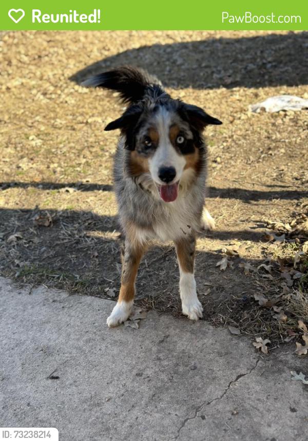 Reunited Male Dog last seen Near Co Rd 155, Kaufman, TX 75142, USA, Kaufman, TX 75142