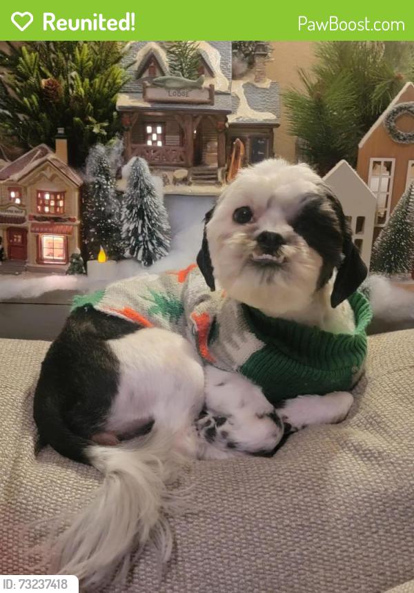 Reunited Female Dog last seen Clifton nj, Clifton, NJ 07013