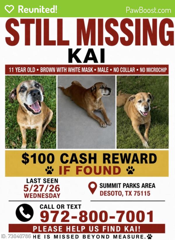 Reunited Male Dog last seen Summit Parks Neighborhood on Beltline Road in DeSoto, DeSoto, TX 75115