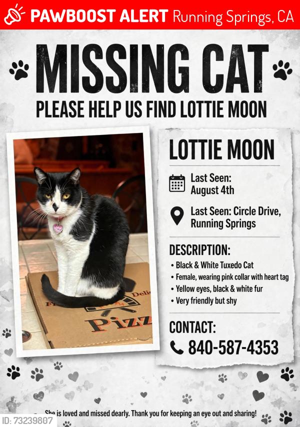 Lost Female Cat last seen View Dr, Running Springs, CA 92382