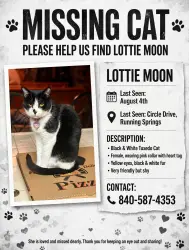 Lost Female Cat last seen View Dr, Running Springs, CA 92382