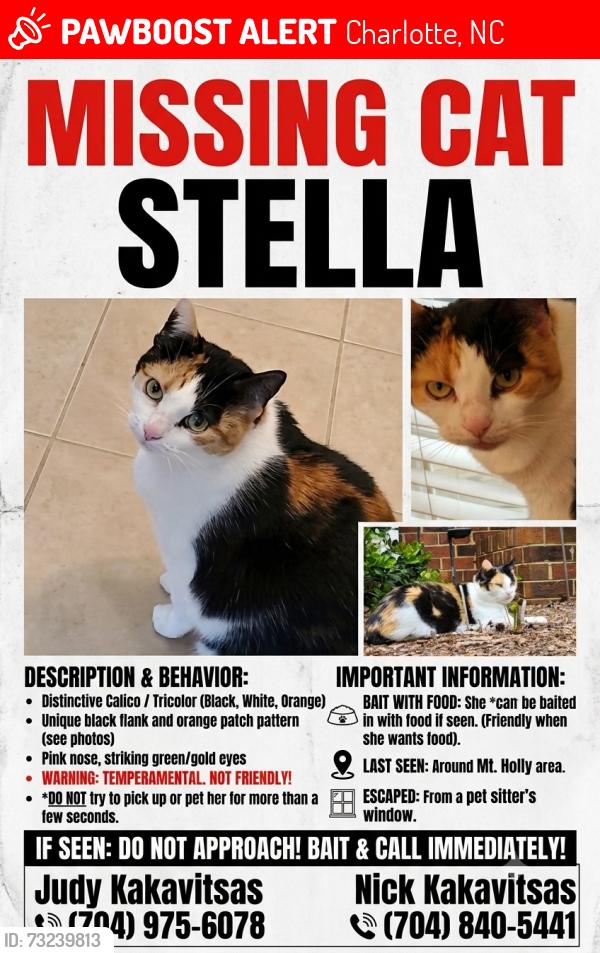 Lost Female Cat last seen Mt Holly Road, Charlotte, NC 28214