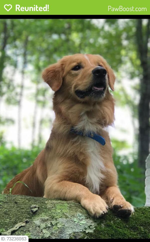 Reunited Male Dog last seen Fait Ave Baltimore, Dundalk, MD 21224