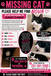 Lost Female Cat last seen Nan gray rd, Theodore, AL 36582