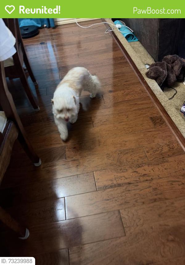 Reunited Male Dog last seen Lewisville, TX, USA, Lewisville, TX 75057