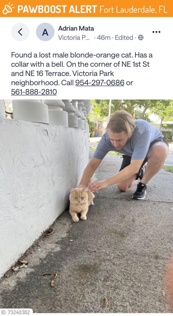 Found/Stray Unknown Cat last seen On the corner of NE 1st St and NE 16 Terrace., Fort Lauderdale, FL 33334
