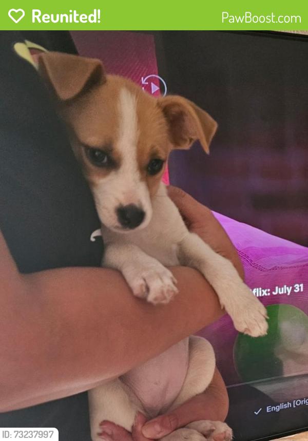 Reunited Female Dog last seen Eastwood, El Paso, TX 79925