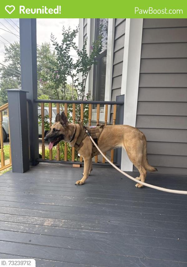 Reunited Female Dog last seen Running across the street on Valley Road, Watchung, NJ 07069