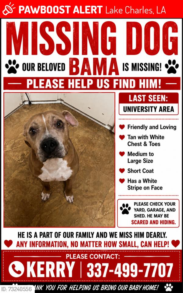 Lost Male Dog last seen dolby street, Lake Charles, LA 70605