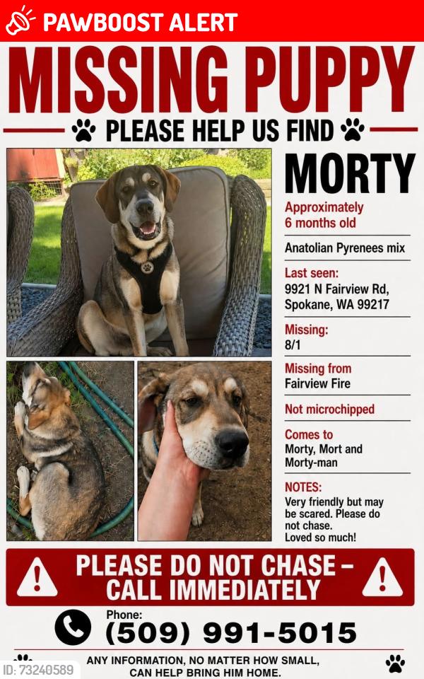 Lost Male Dog last seen Fairview/freya, Spokane County, WA 99021