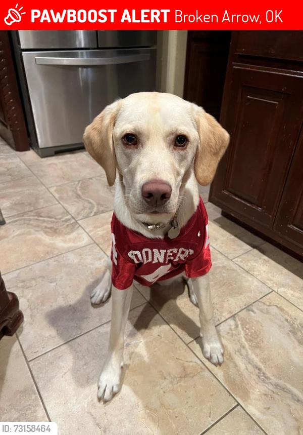 Lost Female Dog last seen Near West Knoxville Street, Broken Arrow, OK, USA, Broken Arrow, OK 74012