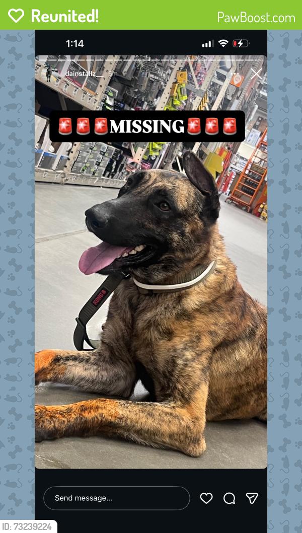 Reunited Male Dog last seen Westlake area, Atlanta, GA 30314