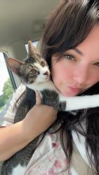 Lost Female Cat last seen Close to the fairgrounds, Dalton, GA 30721