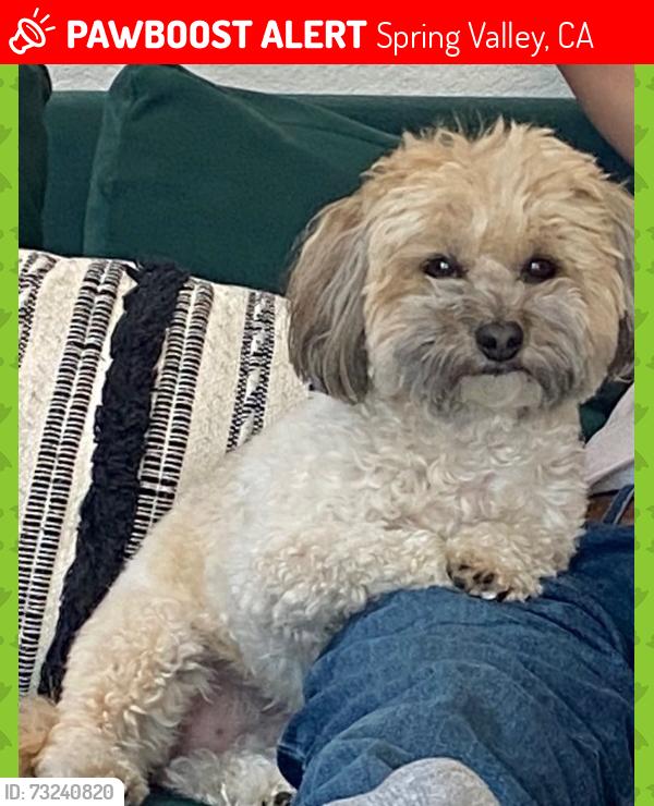 Lost Female Dog last seen Near Paden Dr, Spring Valley, CA 91977