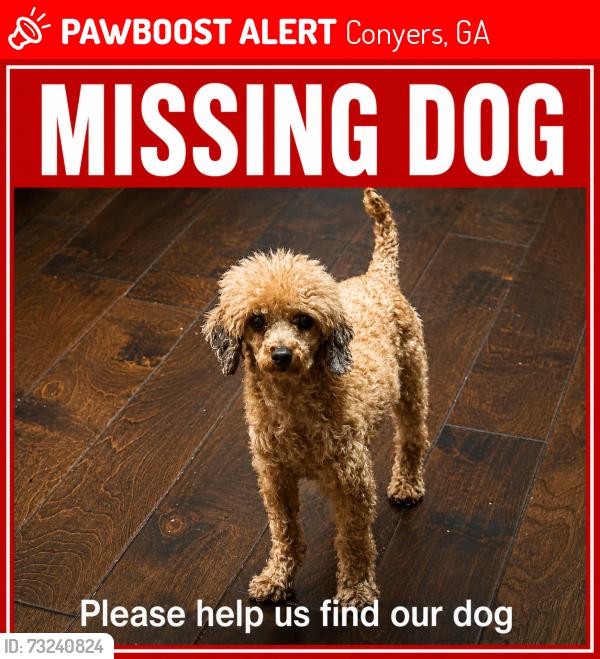 Lost Female Dog last seen Neighborhood, Conyers, GA 30094