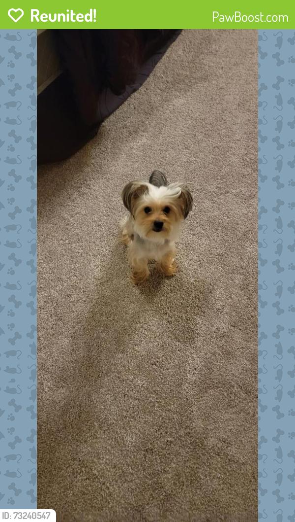 Reunited Male Dog last seen Near s kirkman rd apt 178, Orlando, FL 32811
