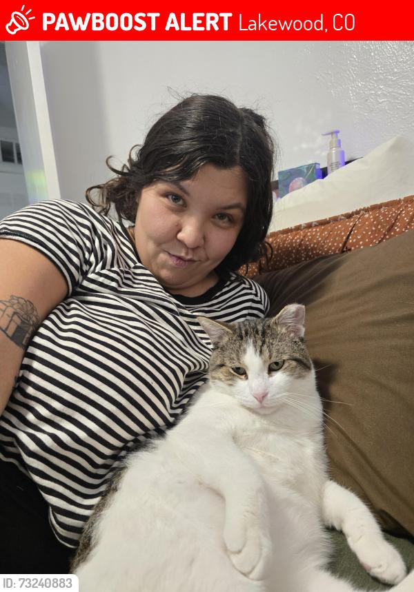 Lost Male Cat last seen West Colfax, Lakewood, CO 80215