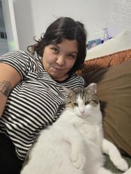 Lost Male Cat last seen West Colfax, Lakewood, CO 80215