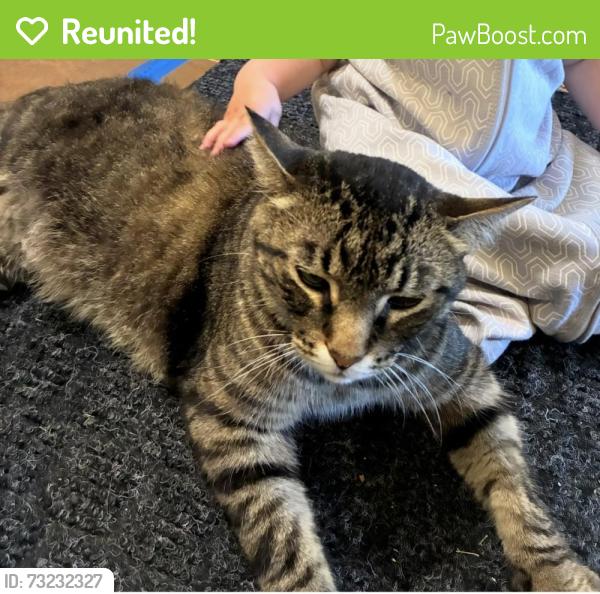 Reunited Male Cat last seen Mastin St & 89th Terr, Overland Park, KS 66212