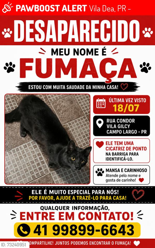 Lost Male Cat last seen Rua Condor, 4 campo largo vila dea, Vila Dea, PR 83609-040