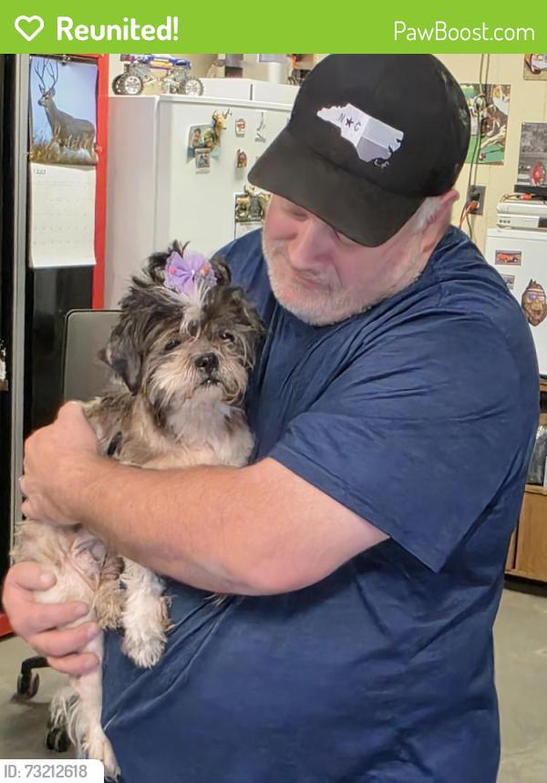 Reunited Female Dog last seen Galilee Road and Hillcrest Road behind White Swan, Smithfield, Smithfield, NC 27577
