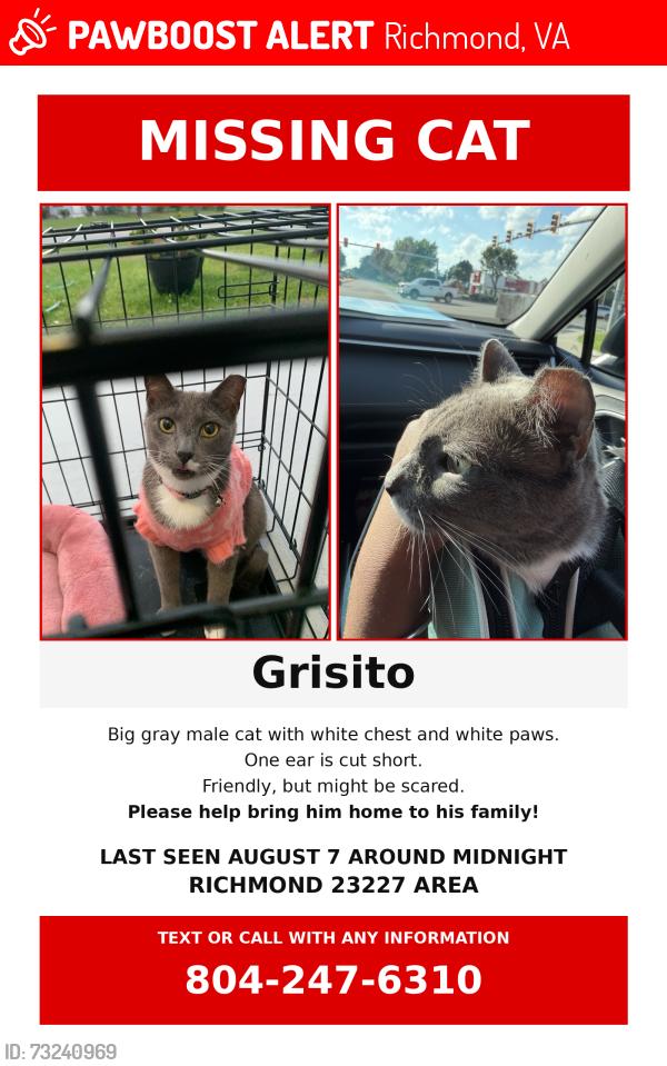 Lost Male Cat last seen Near and 5506 pony farm dr, Richmond, VA 23227