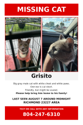 Lost Male Cat last seen Near and 5506 pony farm dr, Richmond, VA 23227