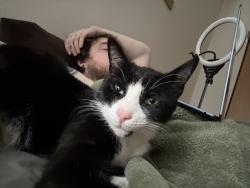 Lost Male Cat last seen Near, Centralia, WA 98531